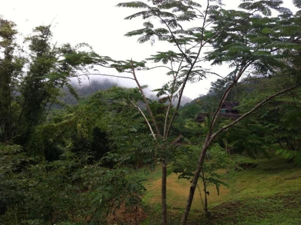 Chang Pai Garden (Adults Only) Экстерьер фото