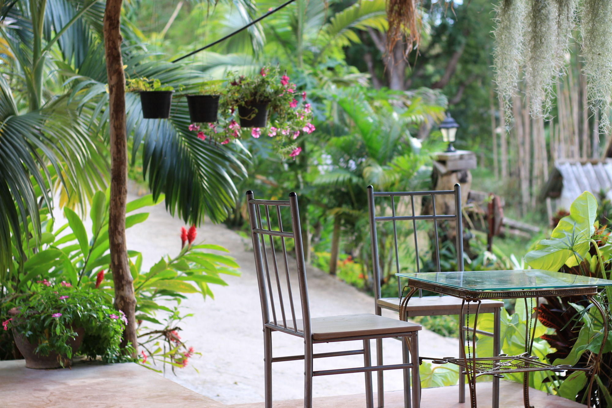 Chang Pai Garden (Adults Only) Экстерьер фото